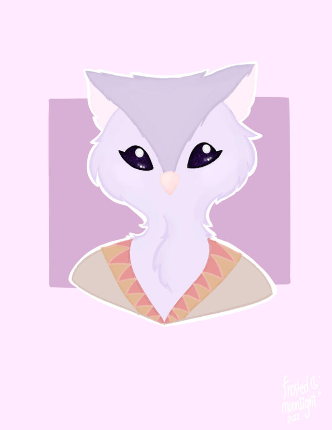 owl owl