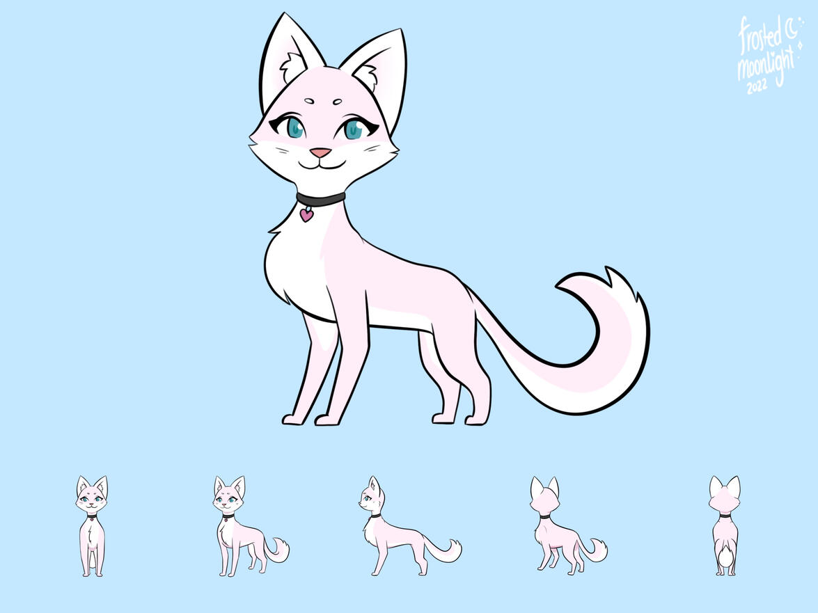 sheena cat sheena cat